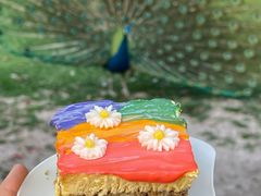 -J Create城市露营咖啡·简餐·宠物(上海动物园店)