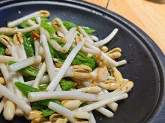 干锅花生芽-滇铺子·云南特色菜·第九届野生菌美食节(东风东路c86店)