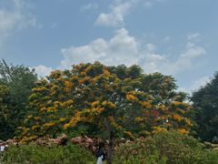 -中国科学院西双版纳热带植物园