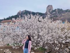 -荒度咖啡(北九水店)