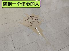 -紫荆城食品交易中心(华强北店)