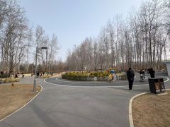 -仁和公园(顺义区)