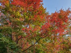 -长春市南湖公园