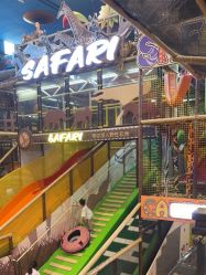 -卡通尼·Safari非洲探索乐园·生日会(金桥国际商业广场店)