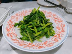 鸡油豆苗-蘭心·臻品(瑞虹太阳宫店)