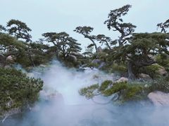 -罗红摄影艺术馆