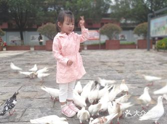 胜利堂旁边的小公园，在里有专门卖各种鸟，早点去广场有