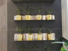 -四叶咖咖啡(昆明恒隆PRO店)