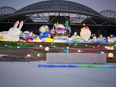 -沈阳奥体冰雪嘉年华