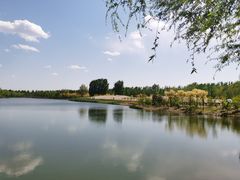 -东郊湿地公园