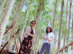 -桉树林A coffee 森林餐厅(三圣乡店)