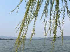 -杭州西湖柳莺里酒店·闻莺厅