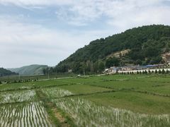 -南泥湾风景区
