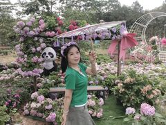 -天适樱花悠乐园