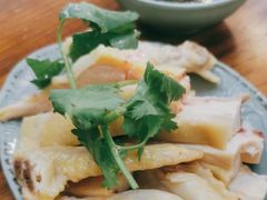 -九斤黄三黄鸡专卖店