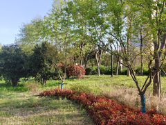 -南京明基医院