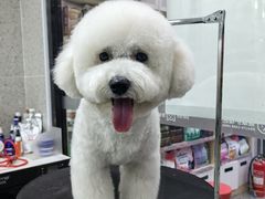 -宠物家(大兴旧宫店)