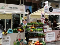 -光明食品集团有限公司