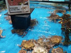 -盒马鲜生(王府广场店)