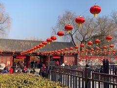 -南来顺饭庄·清真(南菜园店)