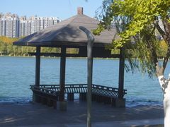-天鹅湖体育公园