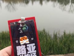 -上海长兴岛郊野公园