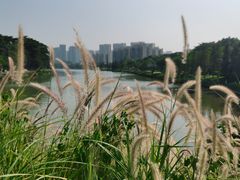 -怡海公园(桂城街道)