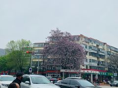 -山东省立医院(中心院区)