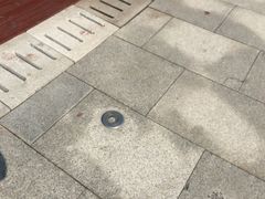 -上海长江河口科技馆