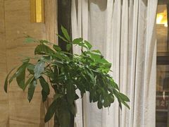 -洛阳宴·洛阳菜(南昌路店)