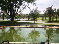 -湖泉水云间餐厅·弥勒地道菜(B座店)