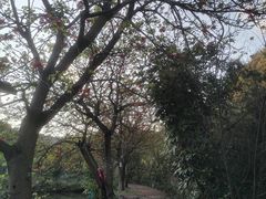 -世间香境·七溪地
