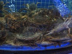 -福禧荟·海鲜自助