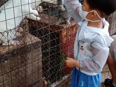 -草根堂农场