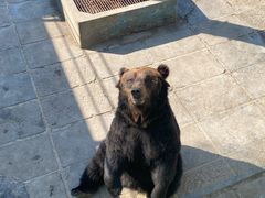 -西霞口神雕山野生动物世界