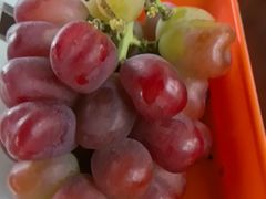 -马陆小张葡萄园农家乐