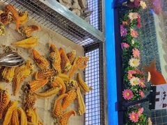 -比亚森自助烤肉料理(裕华店)