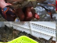-盒马鲜生(联投广场店)