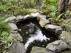 -谷咖啡·鲜花绿植花园餐厅