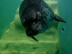 -多彩贵州城极地海洋世界