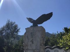 -北京鹫峰国家森林公园
