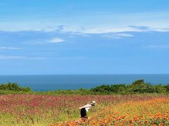 -湄洲岛