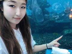 -涛·海底餐厅·美人鱼·自助餐·海底隧道(三亚海棠湾洲际度假酒店)