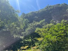 -夏霖九天银瀑风景区