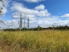 -野鸭湖国家湿地公园