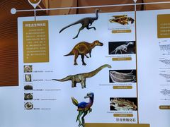 -中国西峡恐龙遗迹园