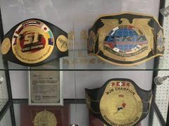 -拳霸泰拳MMA综合格斗搏击馆(浦东馆)