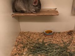 -龙猫仔乐园(惠福东路店)