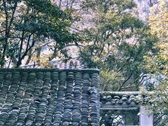 二楼窗外的风景-忆秦园小笼包(惠山古镇总店)