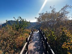 -大岭沟猕猴桃谷风景区